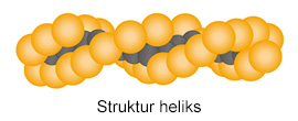 Struktur heliks