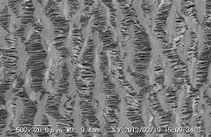 PTFE porous enlargement